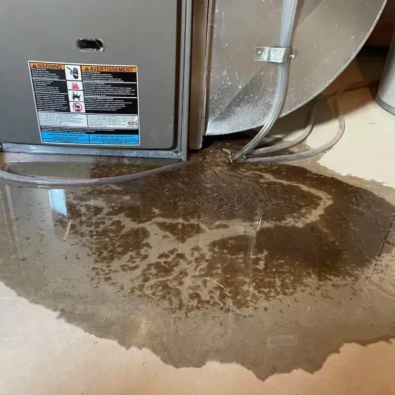 Appliance Leak Cleanup in Auburn, NE